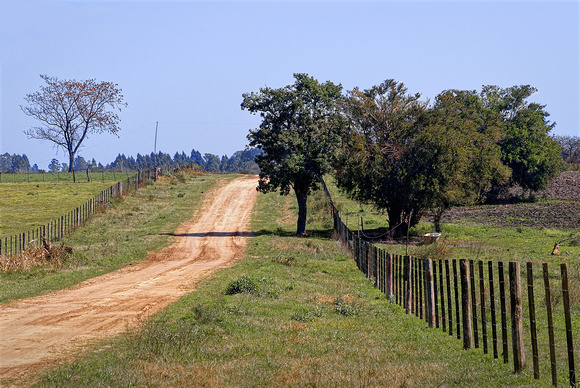 Camino en el campo, Entre Ríos, Argentina
