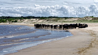 Playa en Riachuelo, Colonia, Uruguay