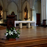 Interior de la Catedral de San Isidro